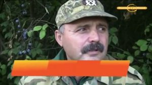 Охота на волка. Охота на Кубани. часть 1