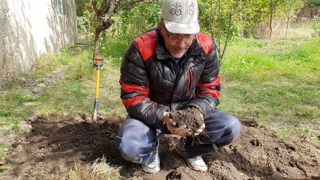 14 Выкопал фиолетовый Алмаз на даче (3).mp4 смотреть онлайн