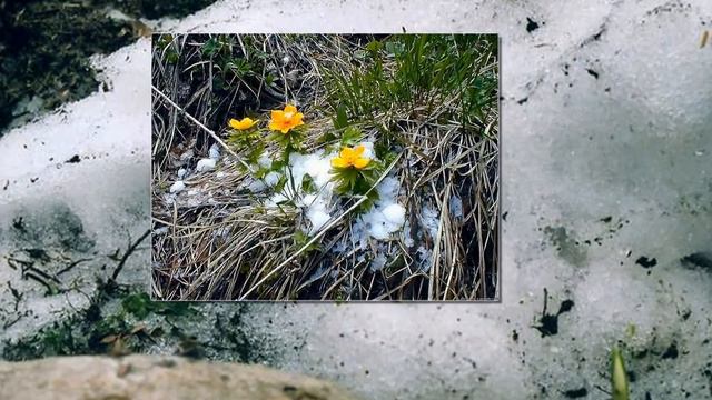 Опять ВЕСНА!!! смотреть онлайн