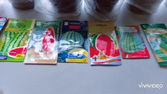 Непревзойденные ресницы для неповторимого образа