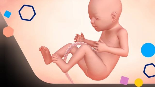 Java e 21 e Shtatzanise. Cfare pritet te ndodhe gjate kesaj jave? смотреть онлайн