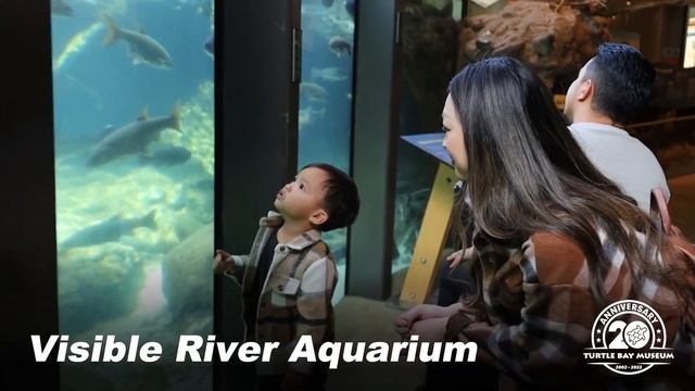 Welcome to Turtle Bay Museum at Turtle Bay Exploration Park! смотреть онлайн