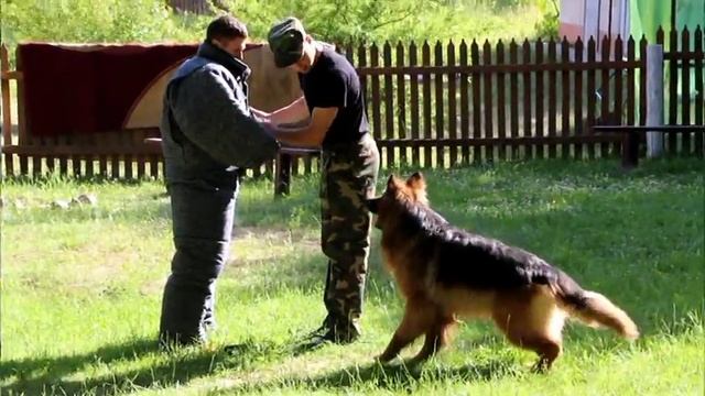 Детский праздник прошел в Костюковичах смотреть онлайн