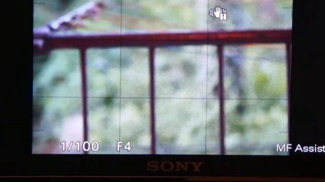 Sony NEX-C3 : peaking mode смотреть онлайн