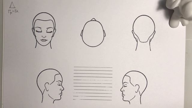 Рисуем схемы стрижек 3. Андрей Акимов . Andrey Akimov. Обучение парикмахеров! смотреть онлайн