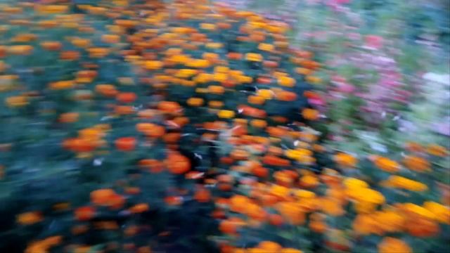 Стихи Лето кончилось смотреть онлайн