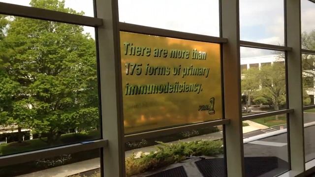 ✅ Window vinyl wraps and signs by www.graphios.com in Chicago IL - PH (773) 413-0070 смотреть онлайн