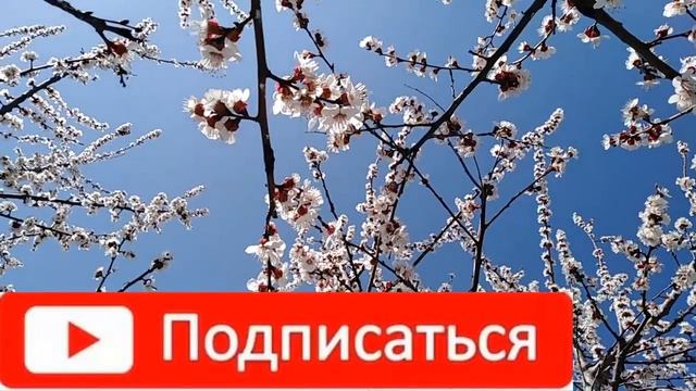 аудіо "Господи, гніву пречистого..." Стус Василь Семенович ЗНО смотреть онлайн