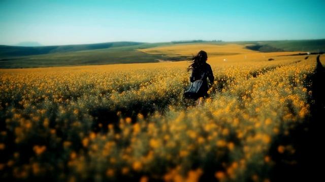 Какие бывают женщины ведьмы, как их распознать и чего от них ожидать. смотреть онлайн