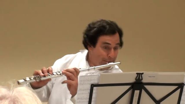 Daniel Stankovic - Flute, Henry Fransen - piano plays Dave Brubeck "Summer song" смотреть онлайн