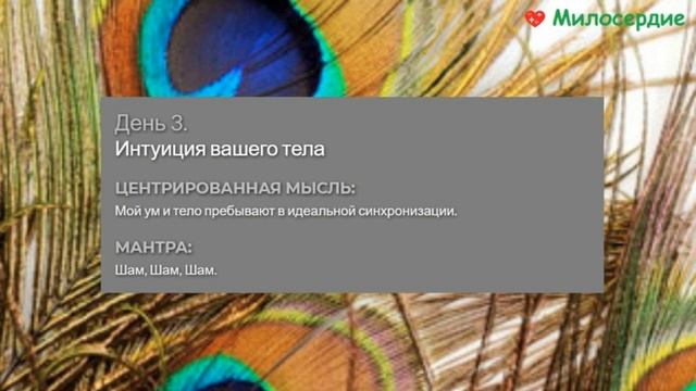 День 3 Интуиция Вашего Тела ИДЕАЛЬНОЕ ЗДОРОВЬЕ Дипак Чопра RUS 1 смотреть онлайн