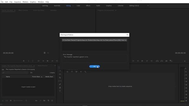 How to Fix The Importer Reported a Generic Error in Premiere Pro CC смотреть онлайн