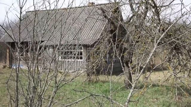 КАК ДЁШЕВО КУПИТЬ УЧАСТОК ИЛИ ДОМ В БЕЛОРУССКОЙ ДЕРЕВНЕ смотреть онлайн