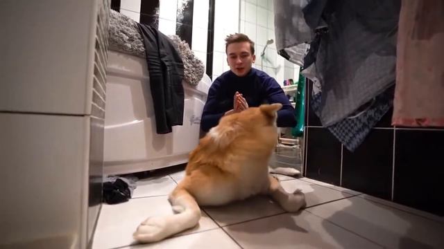 ЮТУБ, ЧТО С ТОБОЙ СЛУЧИЛОСЬ? | Почему Мало Просмотров и Нет Монетизации смотреть онлайн