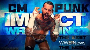 WWE Cm punk song 2013