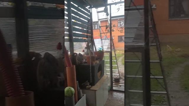 12.11.2023??О ВЕРЕ В ОТРЫВНЫЕ КАЛЕНДАРИКИ? смотреть онлайн