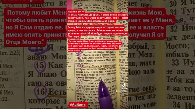 Потому любит Меня Отец, что Я отдаю жизнь Мою, чтобы опять принять ее. смотреть онлайн