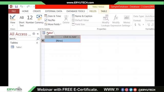 Introduction to Database using MS ACCESS смотреть онлайн