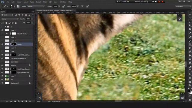 Wild animals. Speed art photoshop. смотреть онлайн