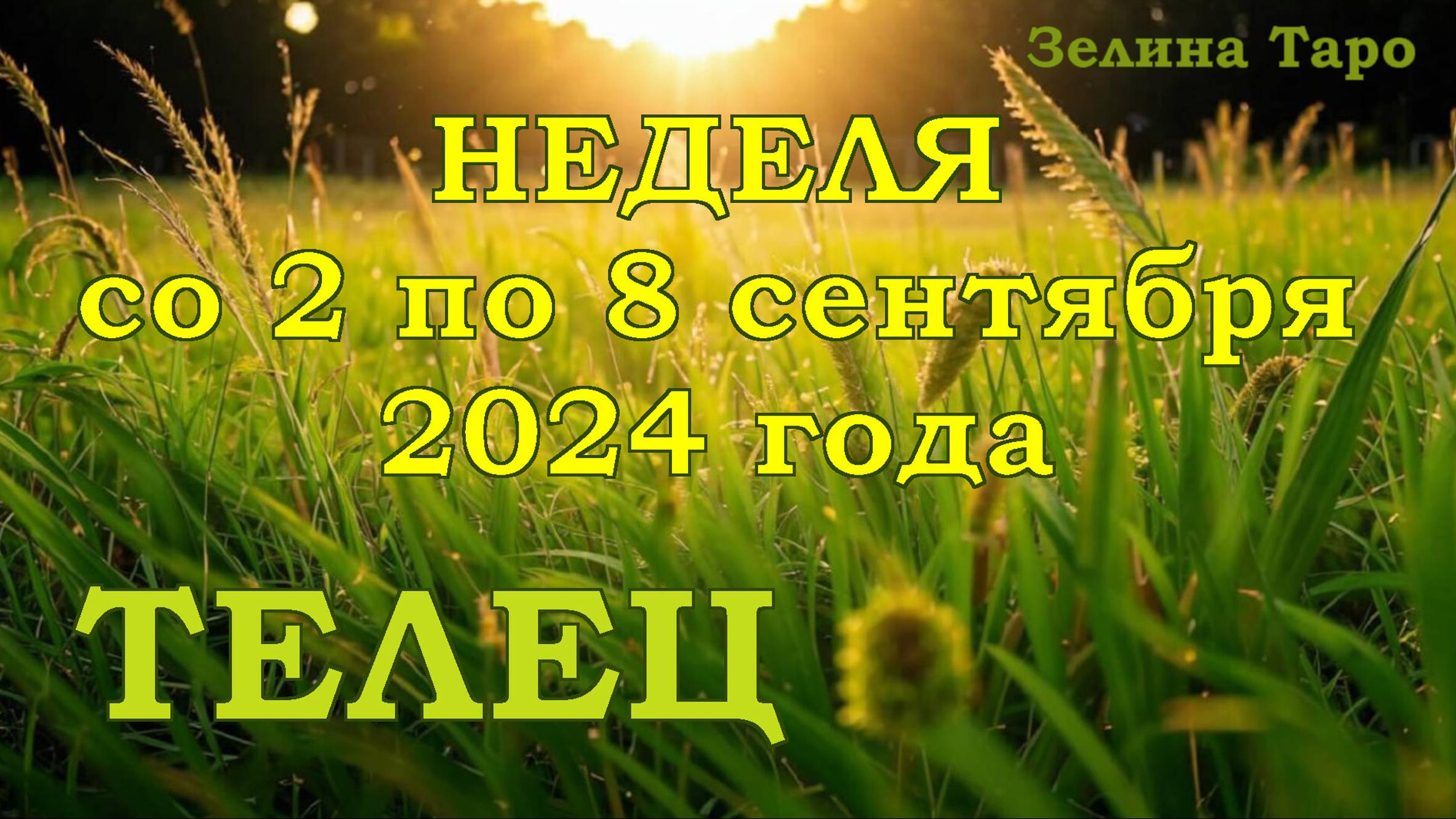 ТЕЛЕЦ | ТАРО прогноз на неделю со 2 по 8 сентября 2024 года