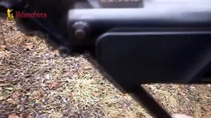 Охота с пневматикой! Законно ли? Videoohota