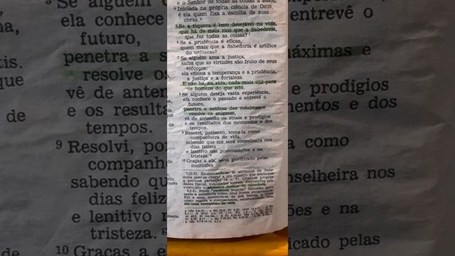 BÍBLIA SAGRADA - O LIVRO DA SABEDORIA смотреть онлайн