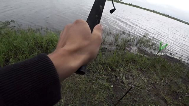 В этом озере есть вся рыба! Карась на фидер, щука на спиннинг. Рыбалка на секретном озере. #2 смотреть онлайн