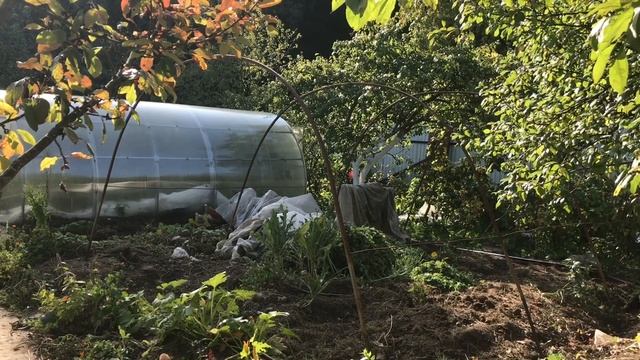 Подготовка сада , огорода , дачного участка к зиме смотреть онлайн