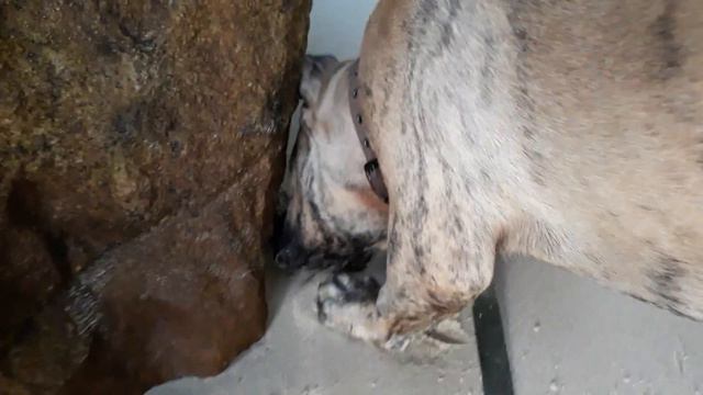 Охота на краба. Ози- дикий зверь. смотреть онлайн