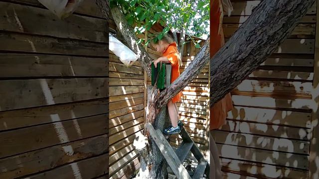 Дети встречают маму! Злата выступает на дереве.