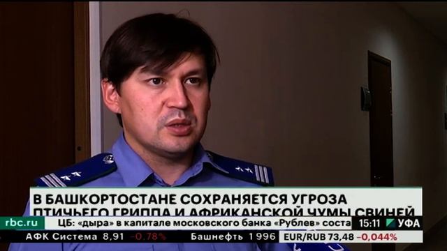 В Башкортостане сохраняется угроза птичьего гриппа и африканской чумы свиней смотреть онлайн