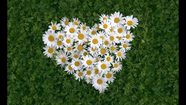 Павел Кашин - Нарисуй мне небо смотреть онлайн