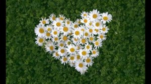 Павел Кашин - Нарисуй мне небо