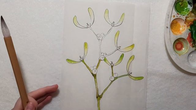 Омела в Магии и Мифологии ▌Рисуем Омелу смотреть онлайн