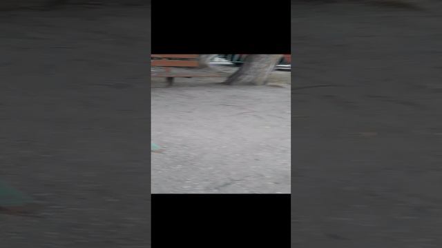 2 лп смотреть онлайн
