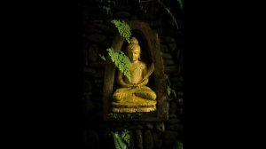 Быстрое очищение 7 чакр _ 3 минуты на каждую чакру_ От корня до макушки