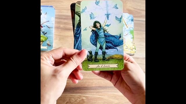 Everyday Witch Tarot Unboxing | First Impressions | Review ✨? смотреть онлайн