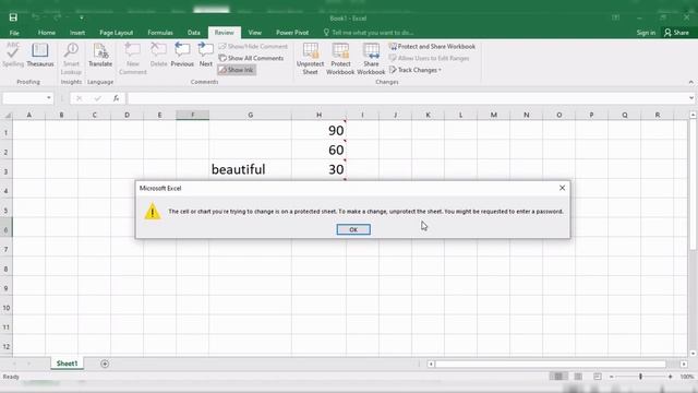 Review Tab in Excel |Difference between Protect Sheet and Protect WorkBook in Ms Excel смотреть онлайн