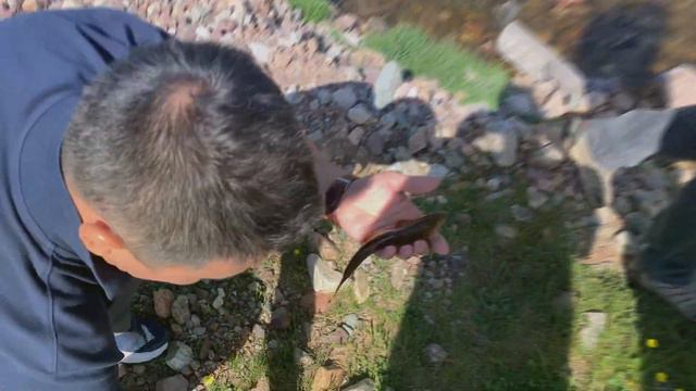 Заилийский Алатау зарисовка смотреть онлайн