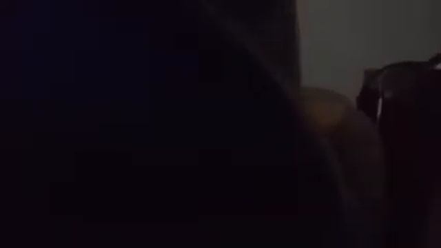 The midnight prowl смотреть онлайн