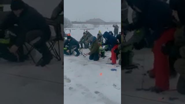 Стрелецкий Ручей 02/02/2019- 2 смотреть онлайн