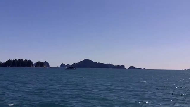 Kenai Fjord - Whale Watching смотреть онлайн