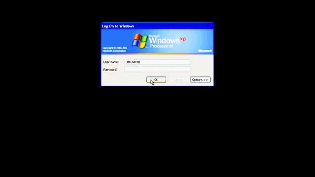 Windows XP Fungi Remake смотреть онлайн