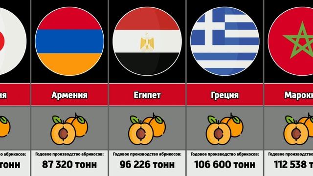 Страны по производству абрикосов
