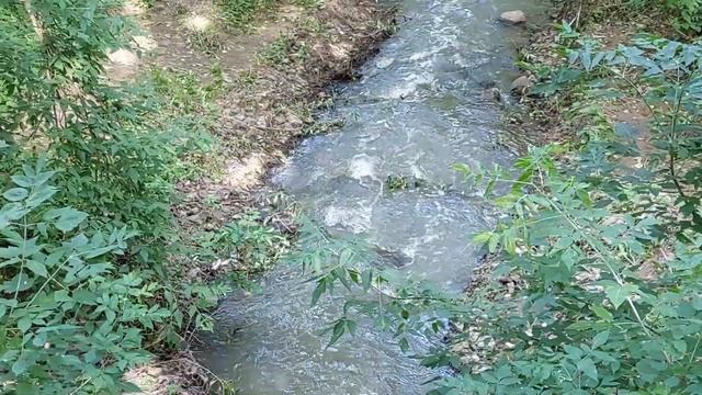 Завораживающий шум бегущей воды. Релакс в парке Яуза. Отрадное. Июль 2022 года. смотреть онлайн
