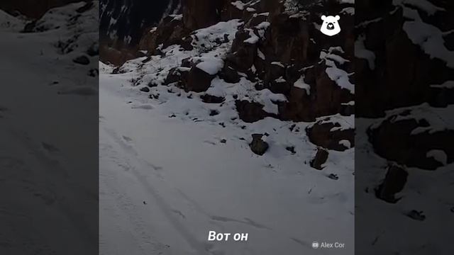 ВСТРЕТИЛ волка и накормил его салом смотреть онлайн