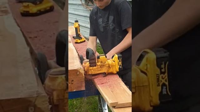 DeWalt Chainsaw Sawmill