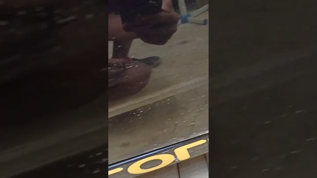 Подготовка авто к оклейке новой плёнкой. смотреть онлайн