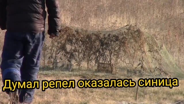 31.10.2021тест тайника на шарнирах с подшипниками смотреть онлайн
