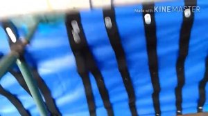 Раскладушка, складная. Своими руками, ну или почти своими.